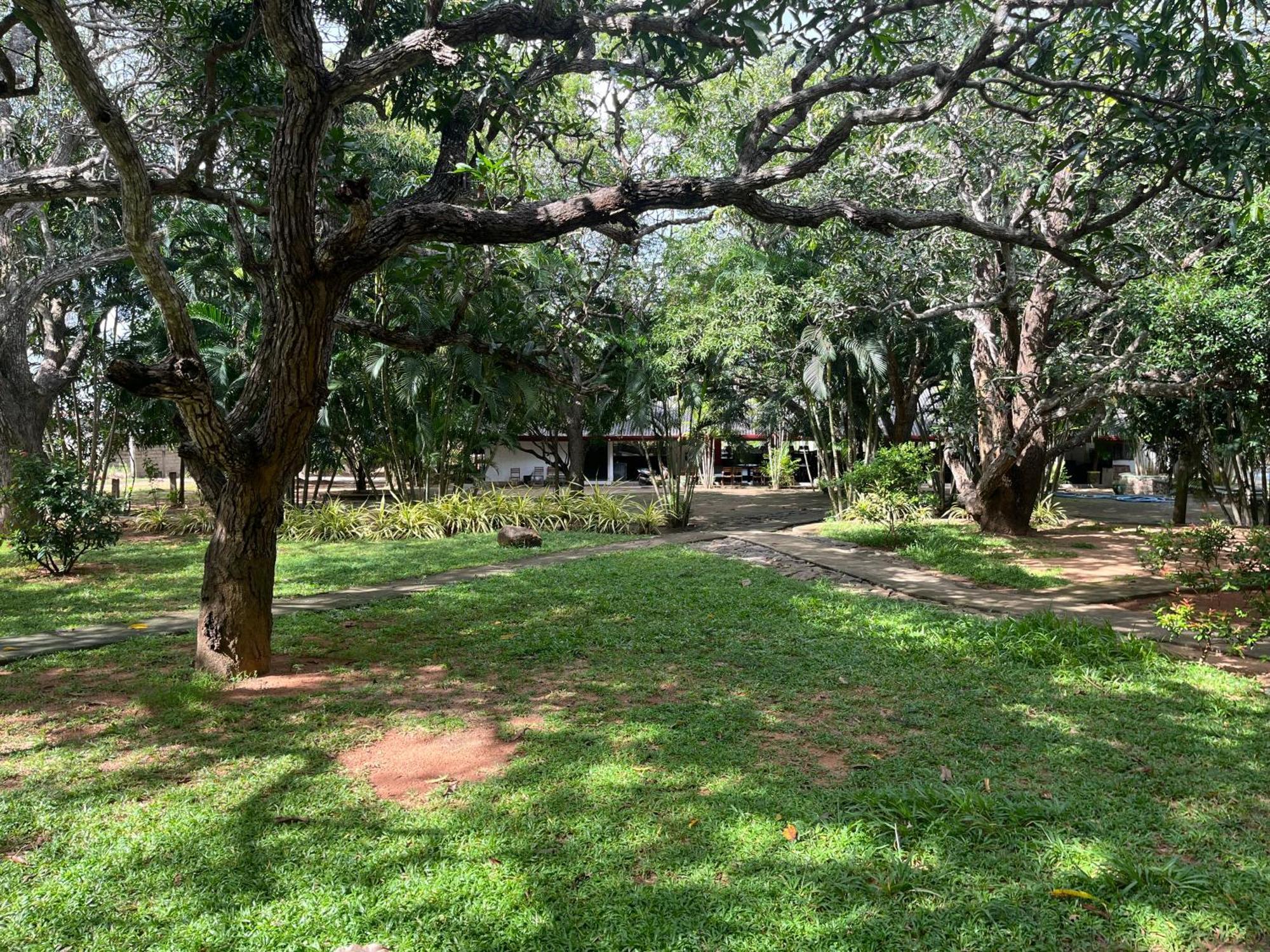Royal Green Garden - Puttalam Exterior foto